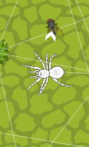 SpiderLand - Spider Web Simulator 4