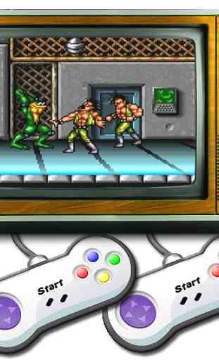 Two Dragons & Fight Toads 1993 Game 1