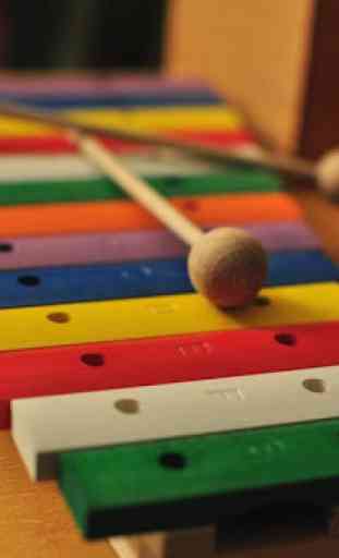 Xylophone Lessons 4