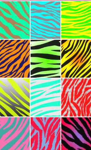 Zebra Print wallpapers 3
