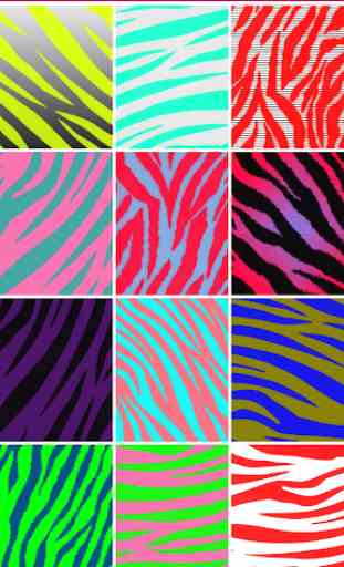 Zebra Print wallpapers 4