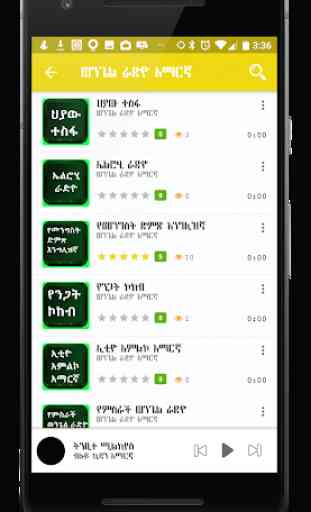Amharic Audio Bible 4