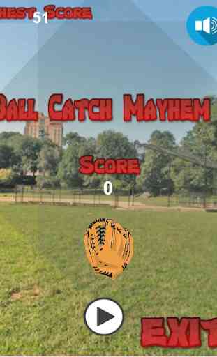 Ball Catch Mayhem 2