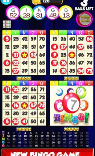 Bingo: New Free Cards Game Vegas and Casino Feel 3