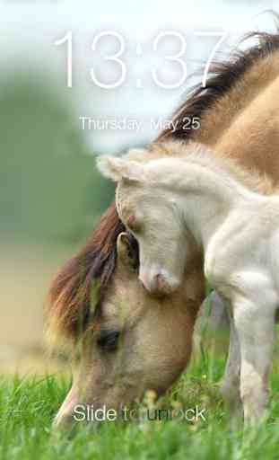 Cute Pony 4K Screen Lock 1