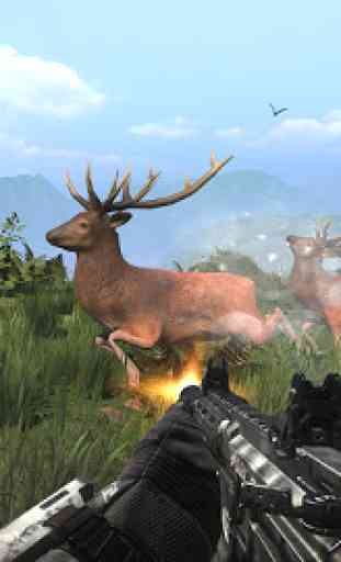 Deer Hunting Games 2019 - Animal Hunting 2