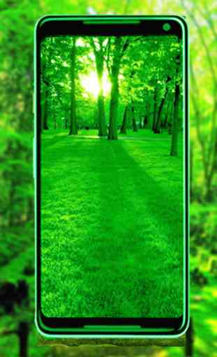 Green Nature New HD wallpaper: 4k Background image 4