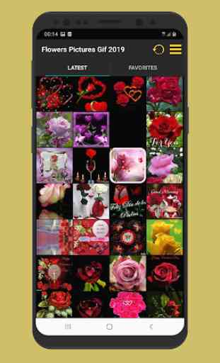 Images magnifiques Fleurs Roses Gif 2