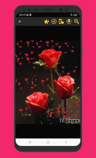 Images magnifiques Fleurs Roses Gif 3