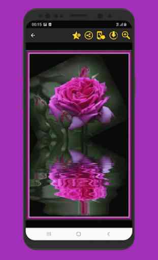 Images magnifiques Fleurs Roses Gif 4