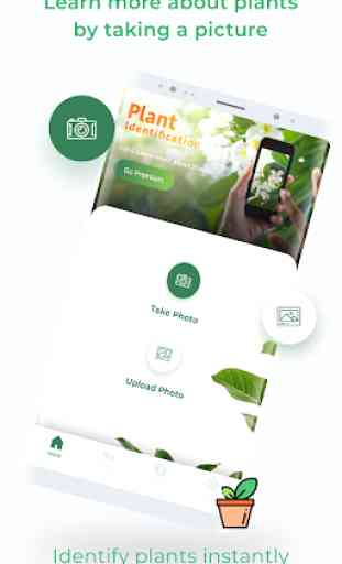 LeafSnap - Plant Identification 2