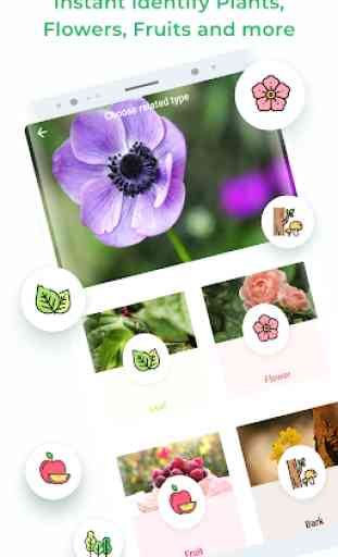 LeafSnap - Plant Identification 3