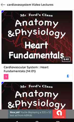 Learn Human Anatomy Video Lectures 2