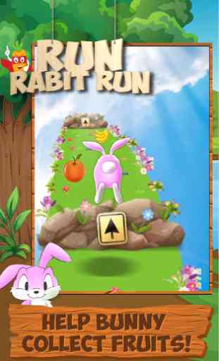 Run Rabbit Run: Bunny Dash, Crazy Jungle Adventure 1