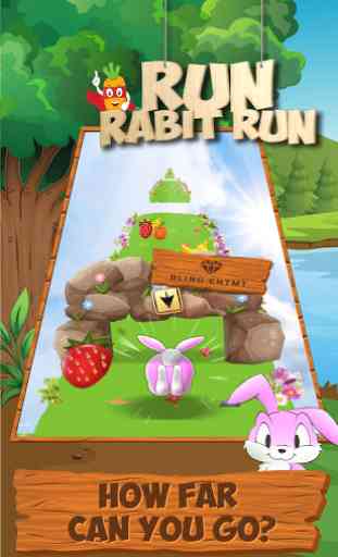 Run Rabbit Run: Bunny Dash, Crazy Jungle Adventure 3