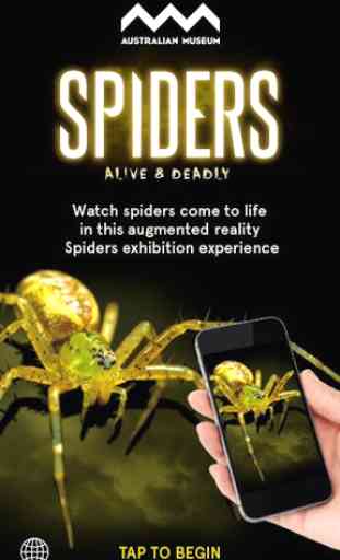 Spiders Augmented Reality 1