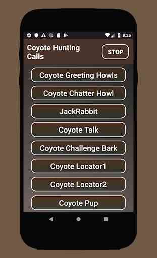 Coyote Hunting Calls 1