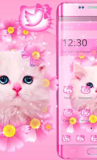 Cute Pink Kitty Cat Theme 1