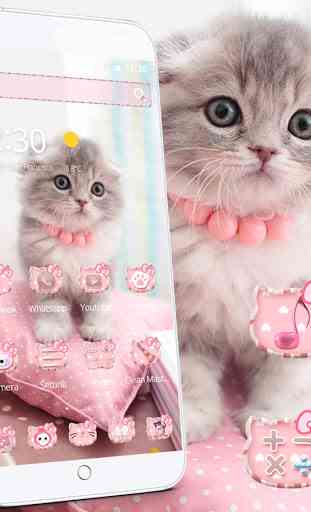 Mignon minou chat theme Cute Kitty Cat 1