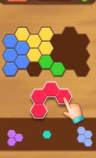 Puzzle hexagone 1