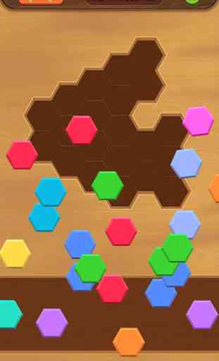 Puzzle hexagone 2