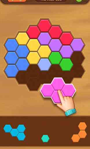Puzzle hexagone 3