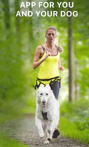 Rundogo - track dog's workouts 1