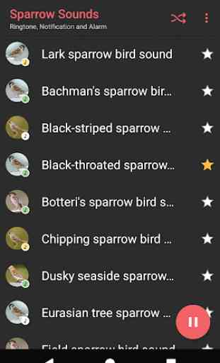 Appp.io - Sparrow Bird Sounds 2