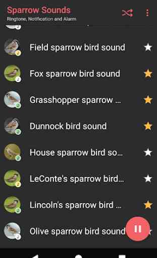 Appp.io - Sparrow Bird Sounds 3