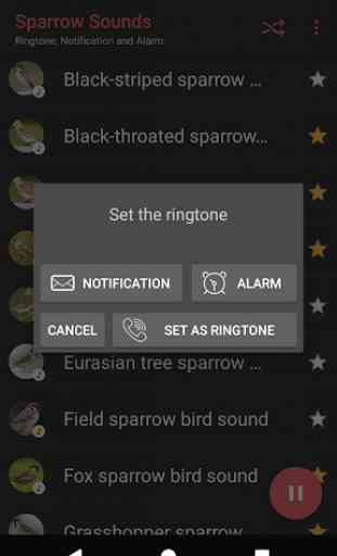 Appp.io - Sparrow Bird Sounds 4