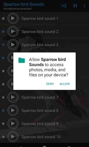Sparrow semble oiseau ~ Sboard.pro 2