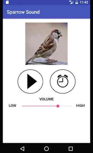 Sparrow Sound 1