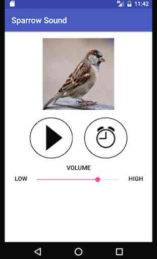 Sparrow Sound 2