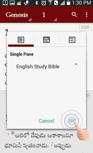 Study Bibles (Multiple Languages) 2