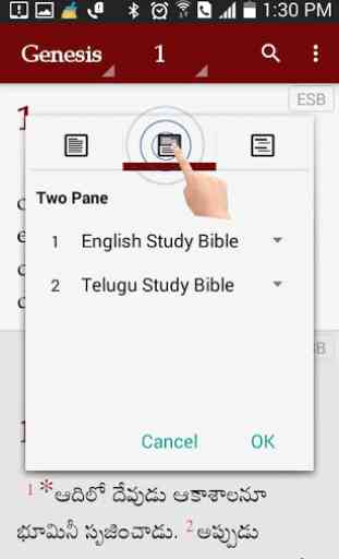 Study Bibles (Multiple Languages) 3