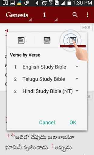 Study Bibles (Multiple Languages) 4