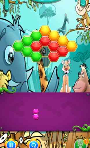 Animal Hexa Puzzle: Hexagonal Match Blocks 2