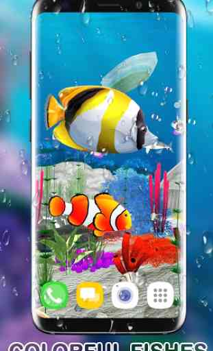 Aquarium Fish 3D Live Wallpaper 2019 4