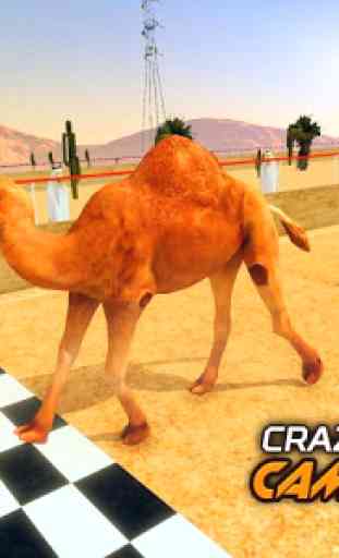 Crazy Camel Racing Fever 3D: Desert Race Simulator 1