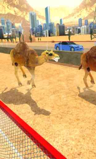 Crazy Camel Racing Fever 3D: Desert Race Simulator 4