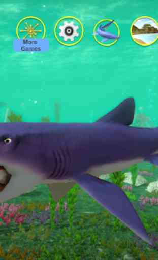 Helicoprion qui parle 1