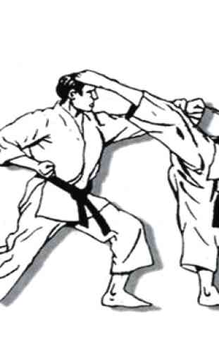 technique d'arts martiaux de karaté 4