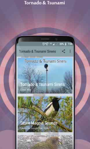 Tornado & Tsunami Sirens 1