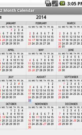 Twelve Month Calendar 1
