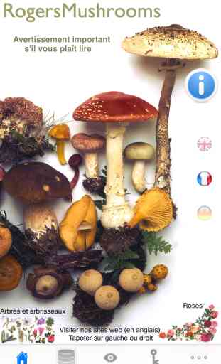 Rogers Mushrooms: Les Champignons de l’Europe et de l’Amérique du Nord (VERSION GRATUITE) 1