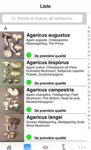 Rogers Mushrooms: Les Champignons de l’Europe et de l’Amérique du Nord (VERSION GRATUITE) 2
