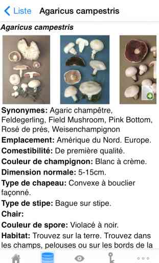 Rogers Mushrooms: Les Champignons de l’Europe et de l’Amérique du Nord (VERSION GRATUITE) 3