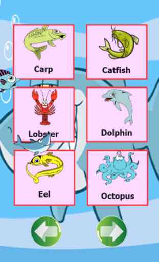 Les animaux de la mer en langue anglaise 3
