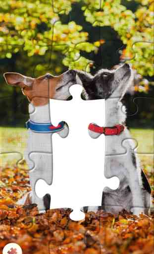 Real Jigsaw Puzzle 2