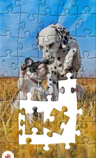 Real Jigsaw Puzzle 3